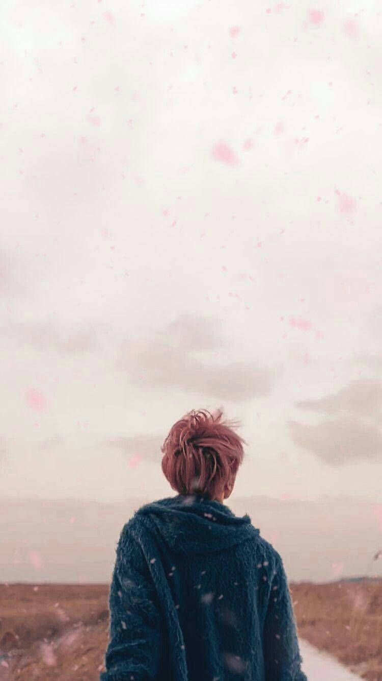 ภาพสวยๆ จีมิน BTS Spring Day วอลเปเปอร์