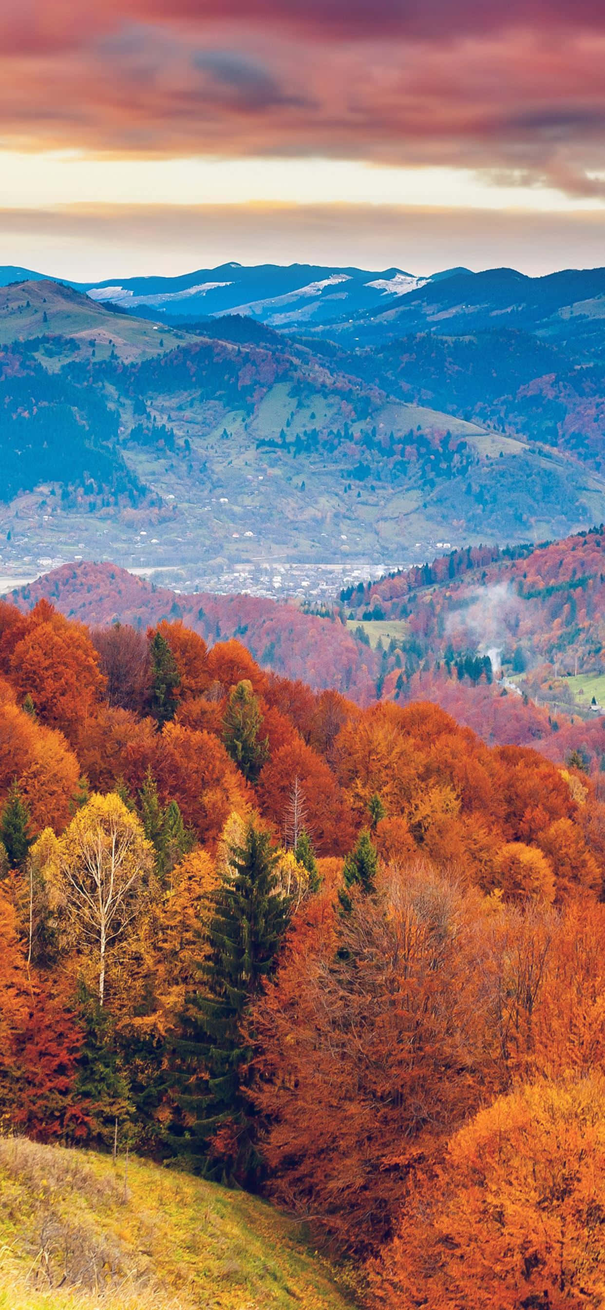 ภาพสวยๆของใบไม้สีสันที่ร่วงในฤดูใบไม้ร่วง วอลเปเปอร์