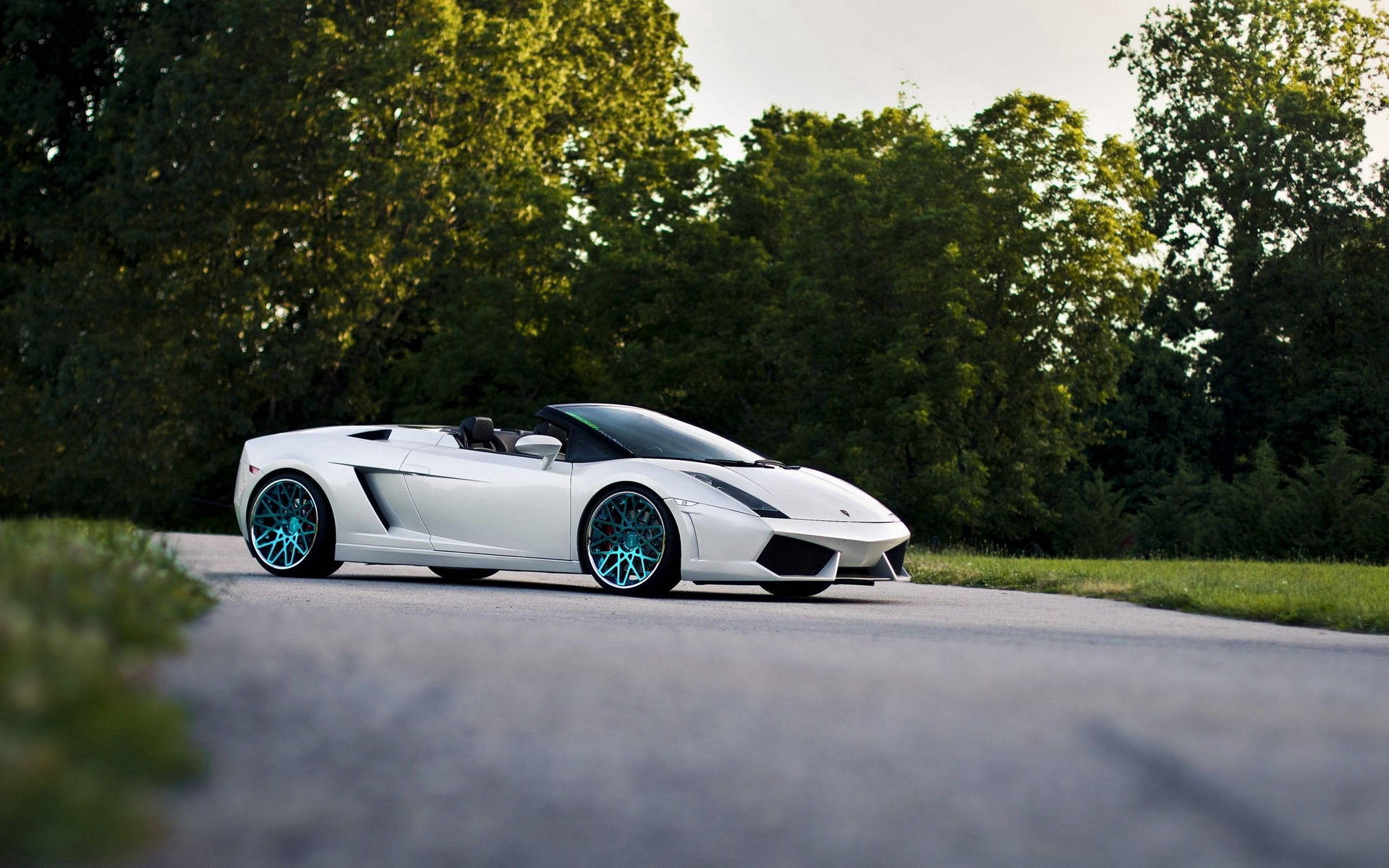 วอลเปเปอร์แลมโบร์กินี กัลลาร์โด สไปเดอร์สีขาวเปิดประทุน — Lamborghini วอลเปเปอร์