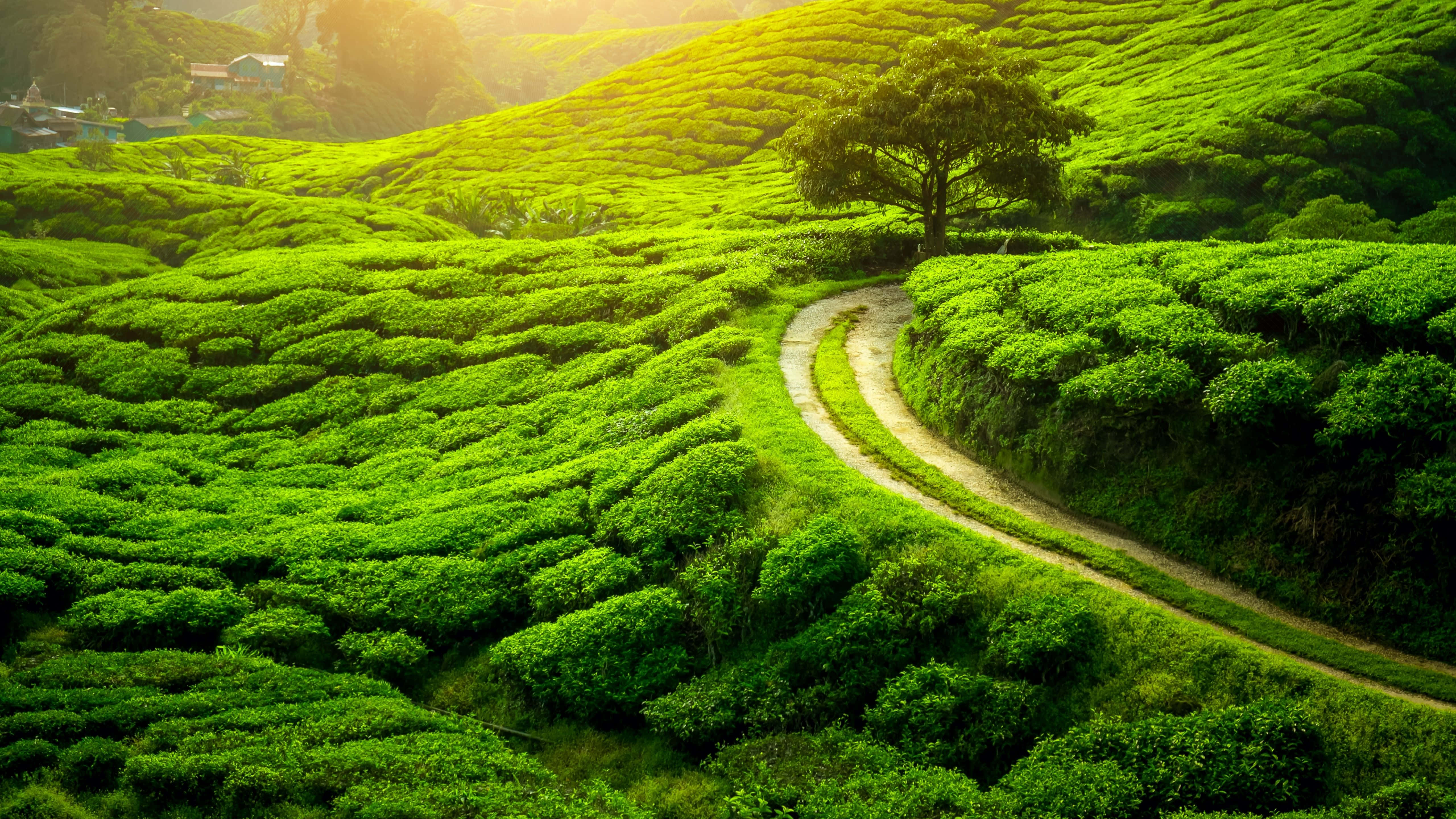 ภูเขาอันสง่างามในยุโรปเหนือ วอลเปเปอร์