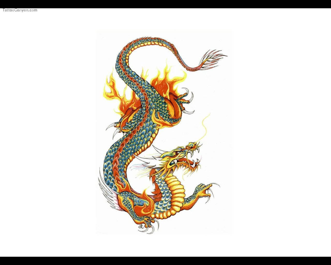 มังกรญี่ปุ่นศิลปะสีสันสดใสสำหรับพีซี วอลเปเปอร์