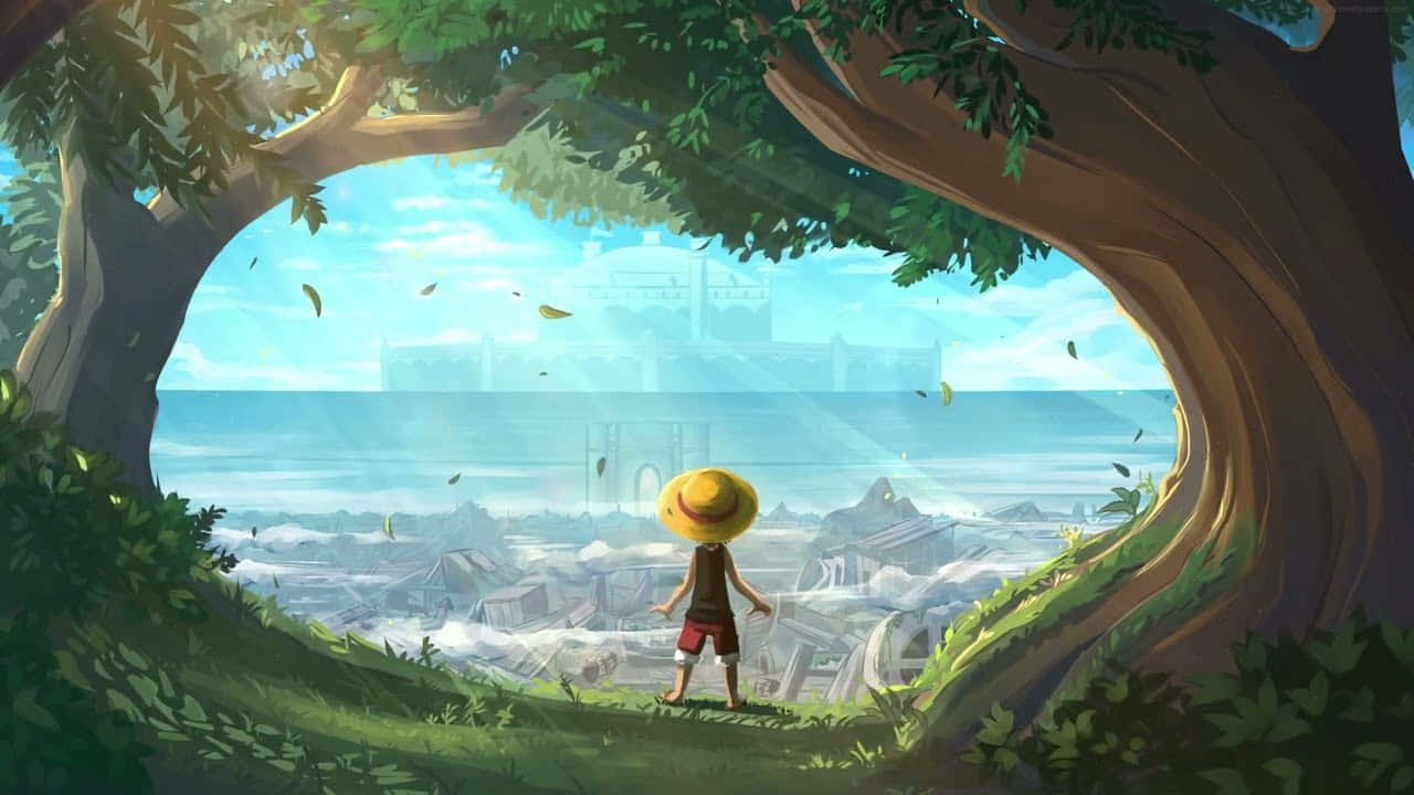 ภาพวันพีซ — วันพีช 4K GIF วอลเปเปอร์