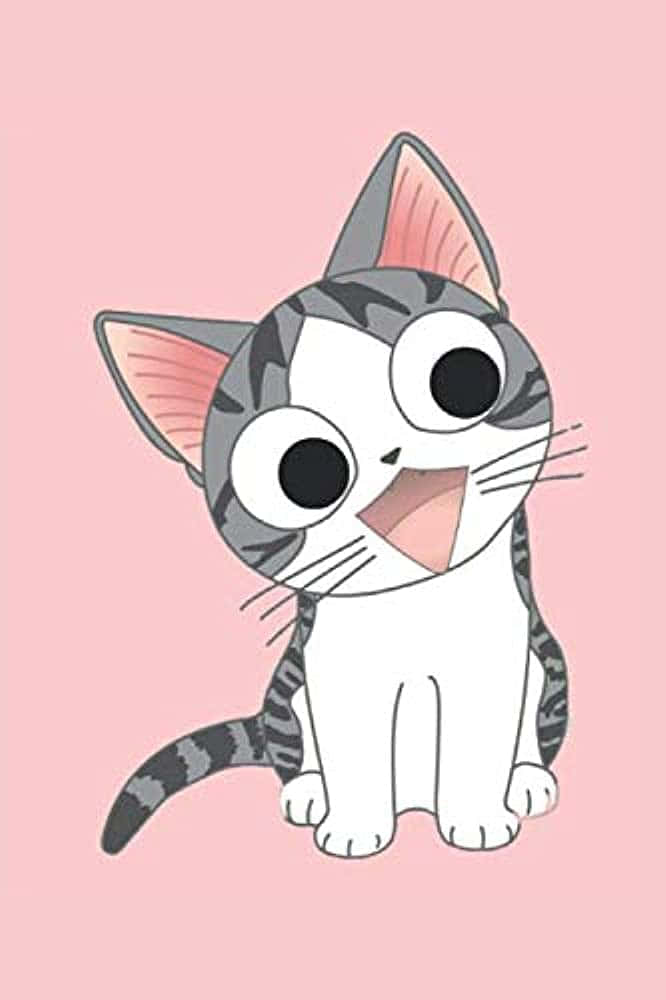 รับความน่ารักจากเจ้าเหมียวสุดเพอร์เฟกต์ วอลเปเปอร์