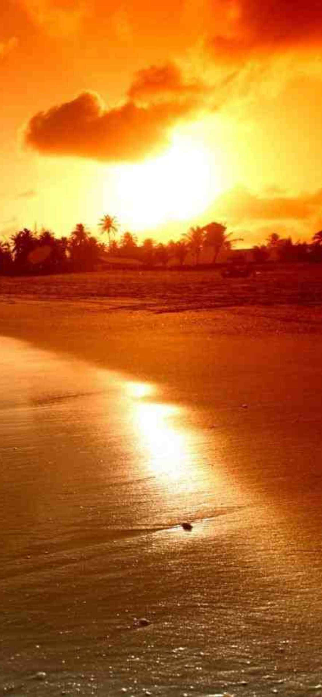 รับวิวชายหาดสวยงามทุกครั้งที่คุณมอง iPhone Xs ด้วยวอลเปเปอร์มลิบู รัฐแคลิฟอร์เนียนี้! วอลเปเปอร์