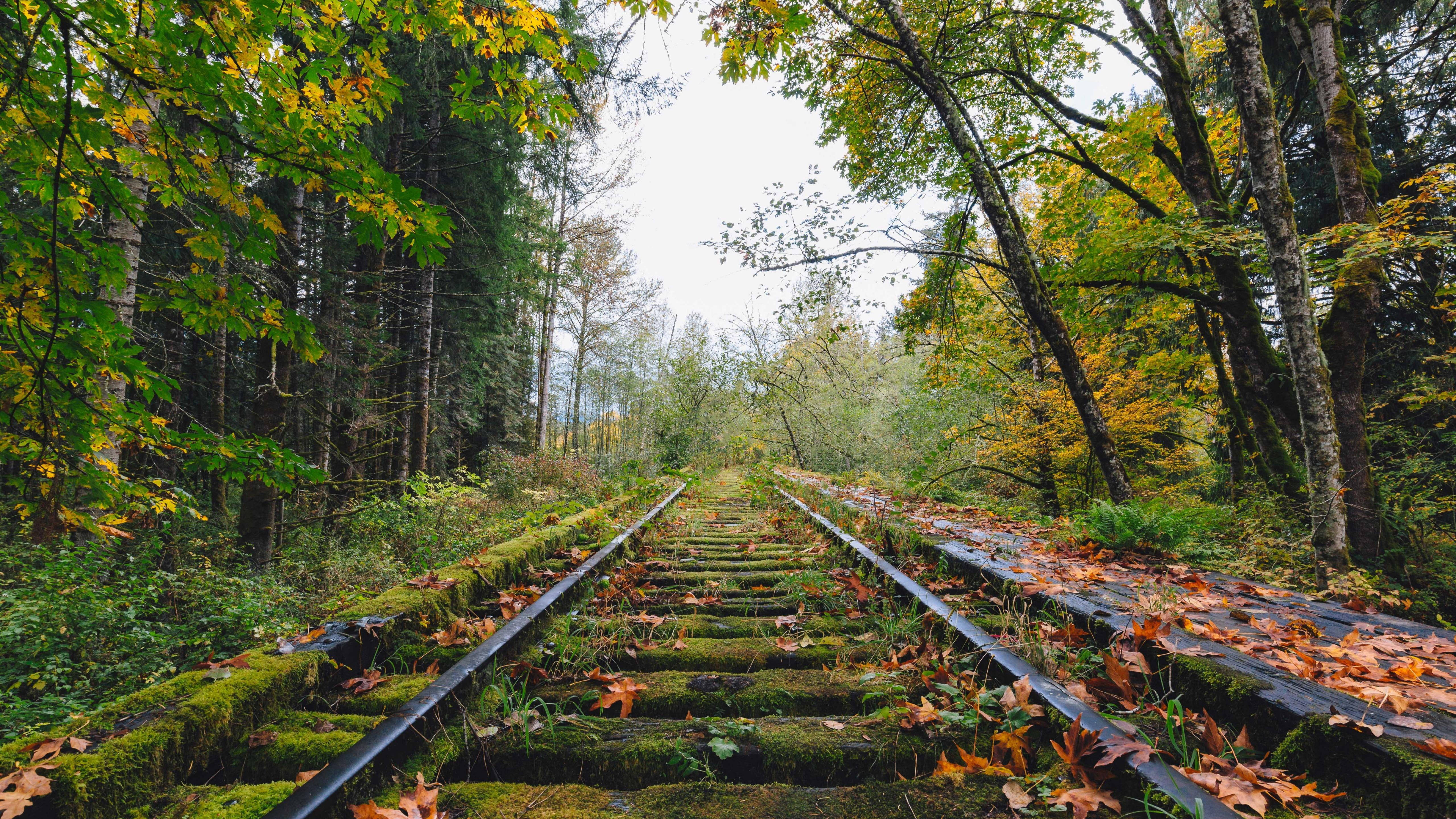 รางรถไฟร้างที่ดีที่สุดในแบบ 4K UHD วอลเปเปอร์