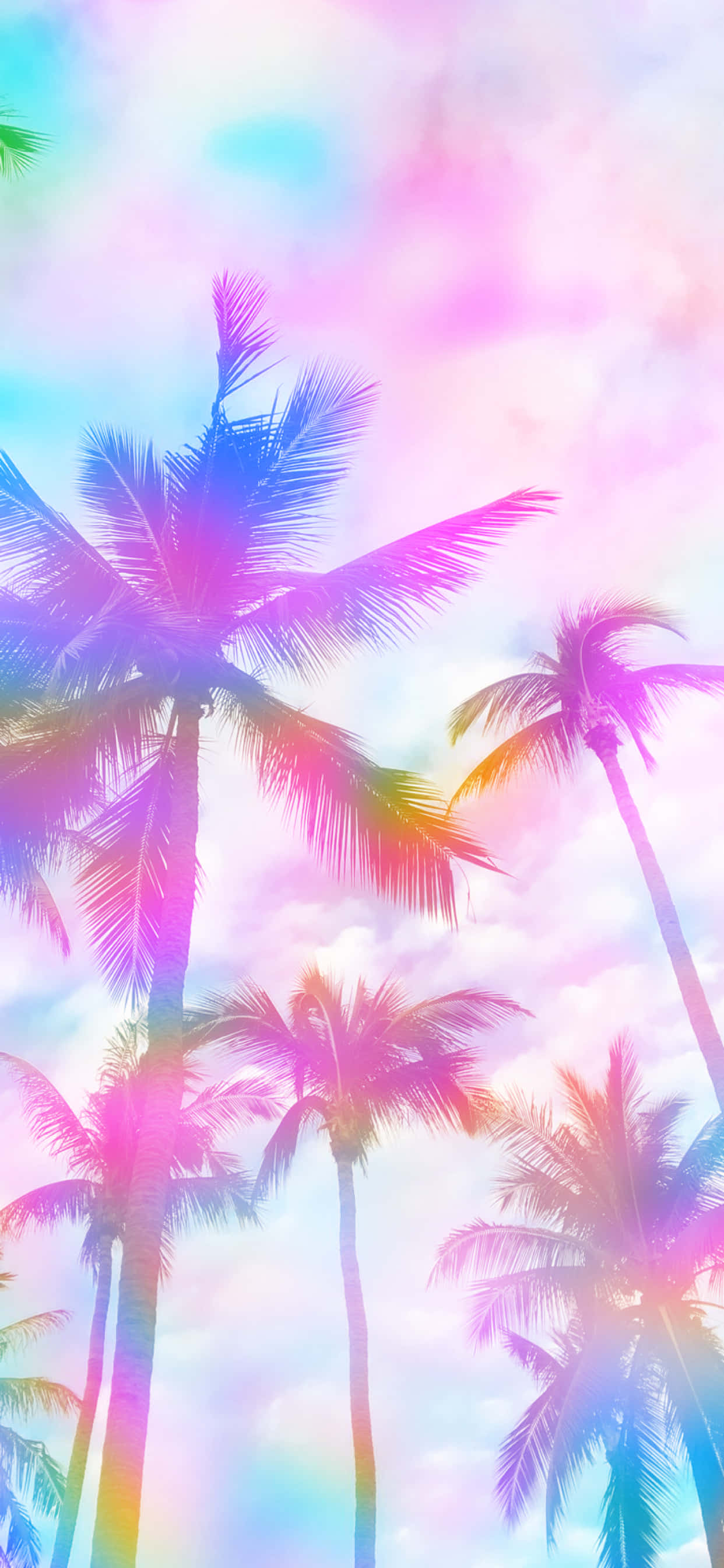 รุ้งสีขาวสวยงามทอดยาวข้ามท้องฟ้าสดใส วอลเปเปอร์