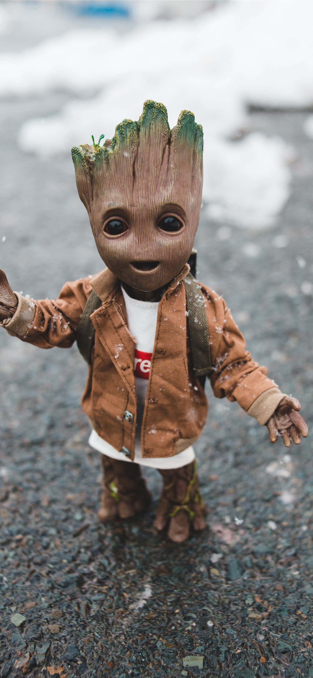 รูปโปรไฟล์ Baby Groot วอลเปเปอร์