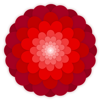 ลวดลายดอกไม้ไล่เฉดสีแดง วอลเปเปอร์