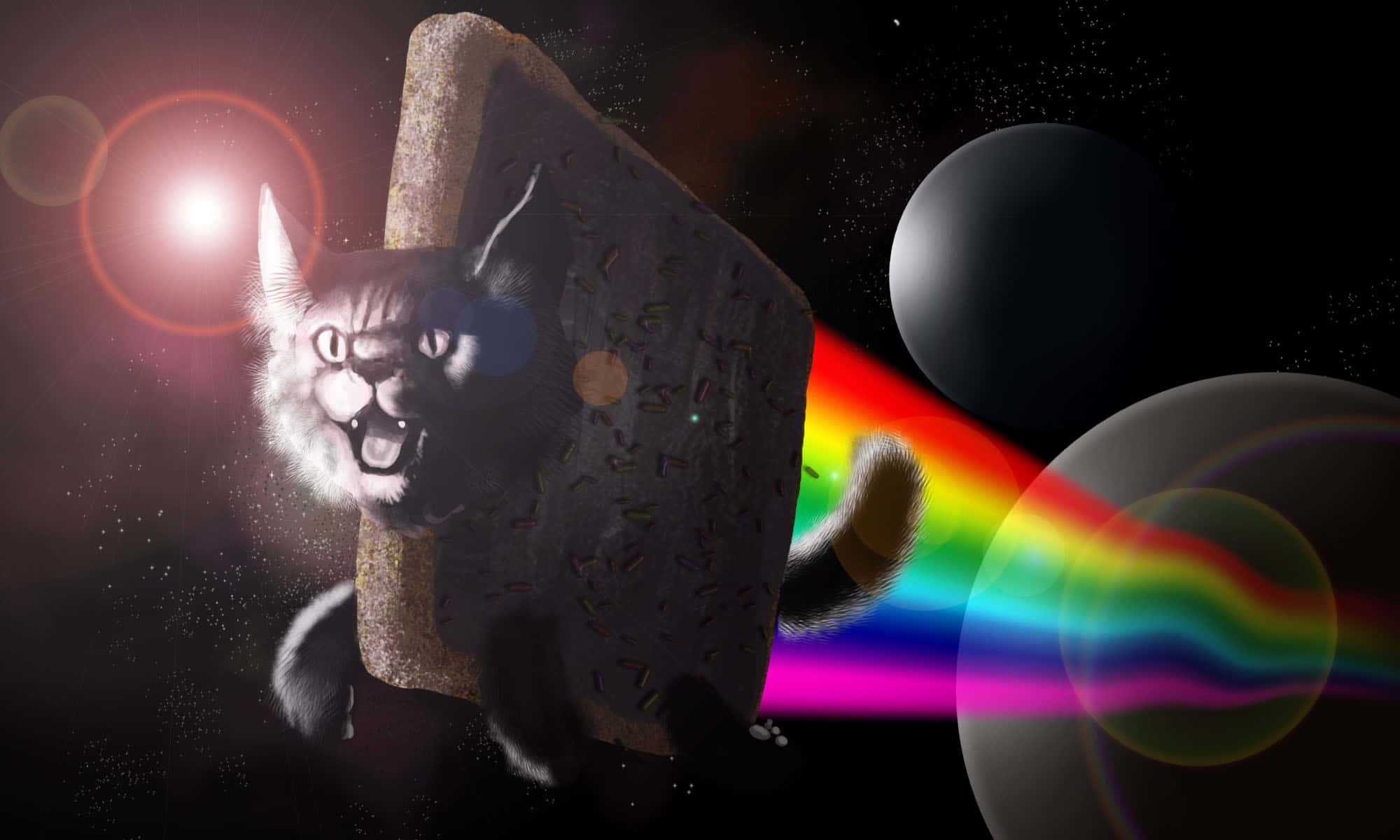 ลาย Nyancat บินบนโน๊ตบุ๊ค วอลเปเปอร์