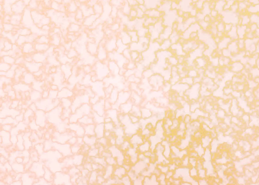 ลายหินอ่อนพาสเทลสีเหลือง วอลเปเปอร์