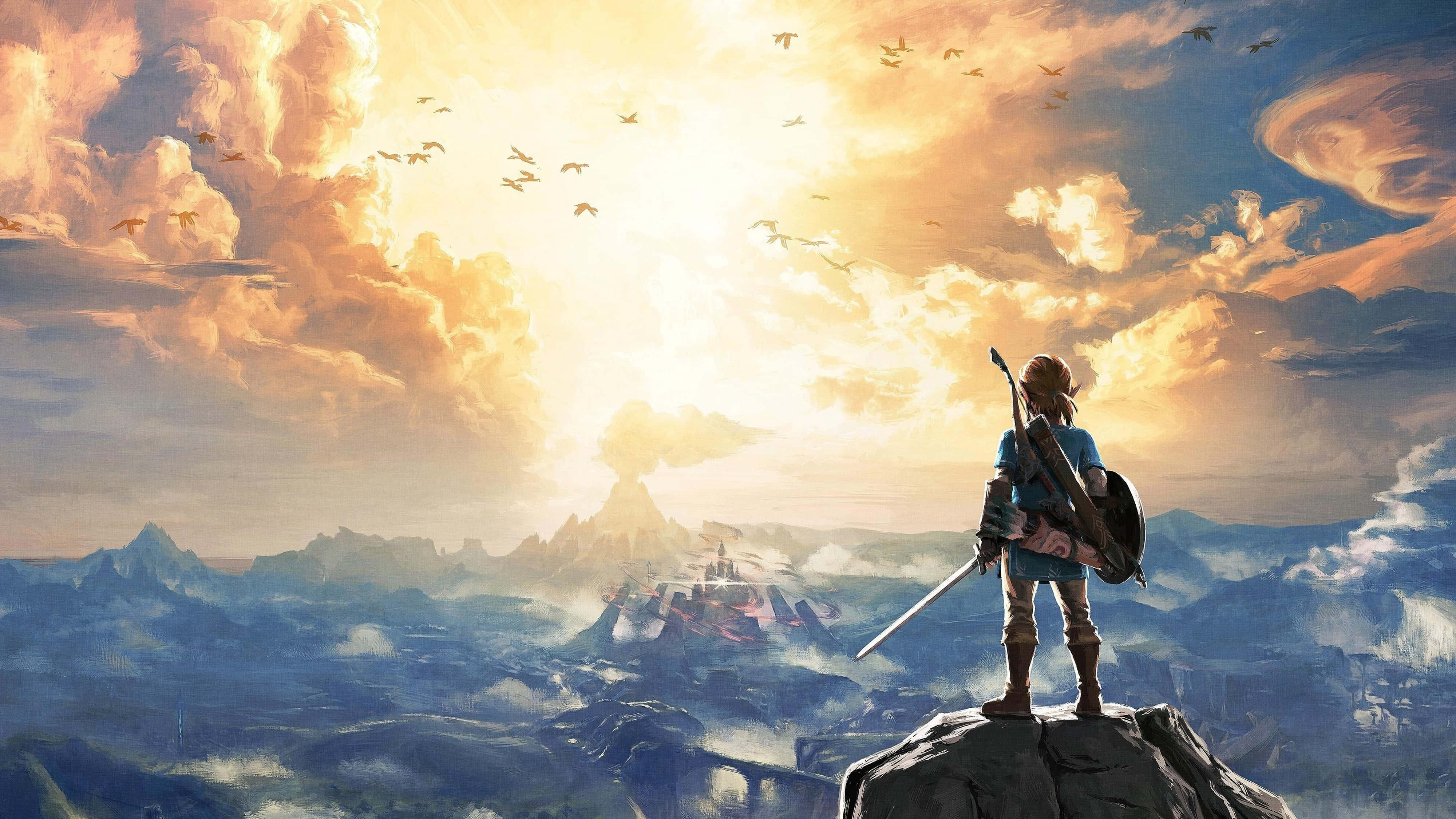 ลิงก์แหงนมองท้องฟ้า Zelda Breath Of The Wild 4K วอลเปเปอร์