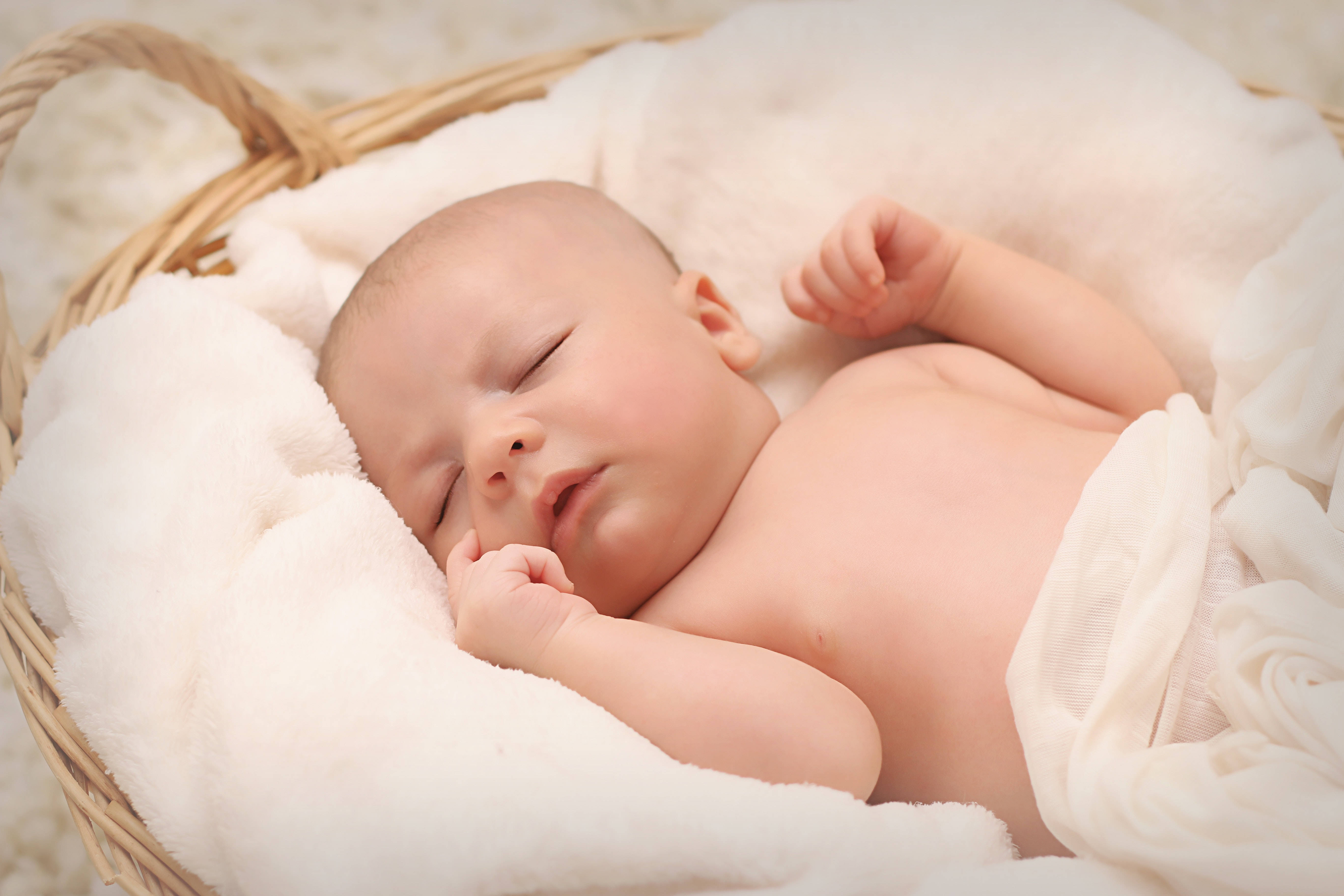 ลูกน้อยน่ารักนอนหลับในตะกร้า วอลเปเปอร์