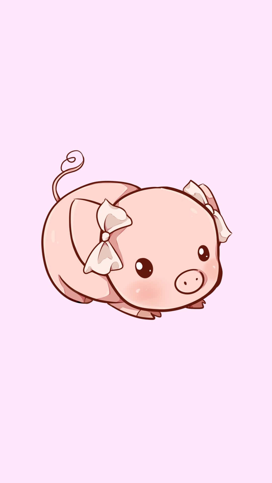 ลูกหมูน่ารักมาก วอลเปเปอร์