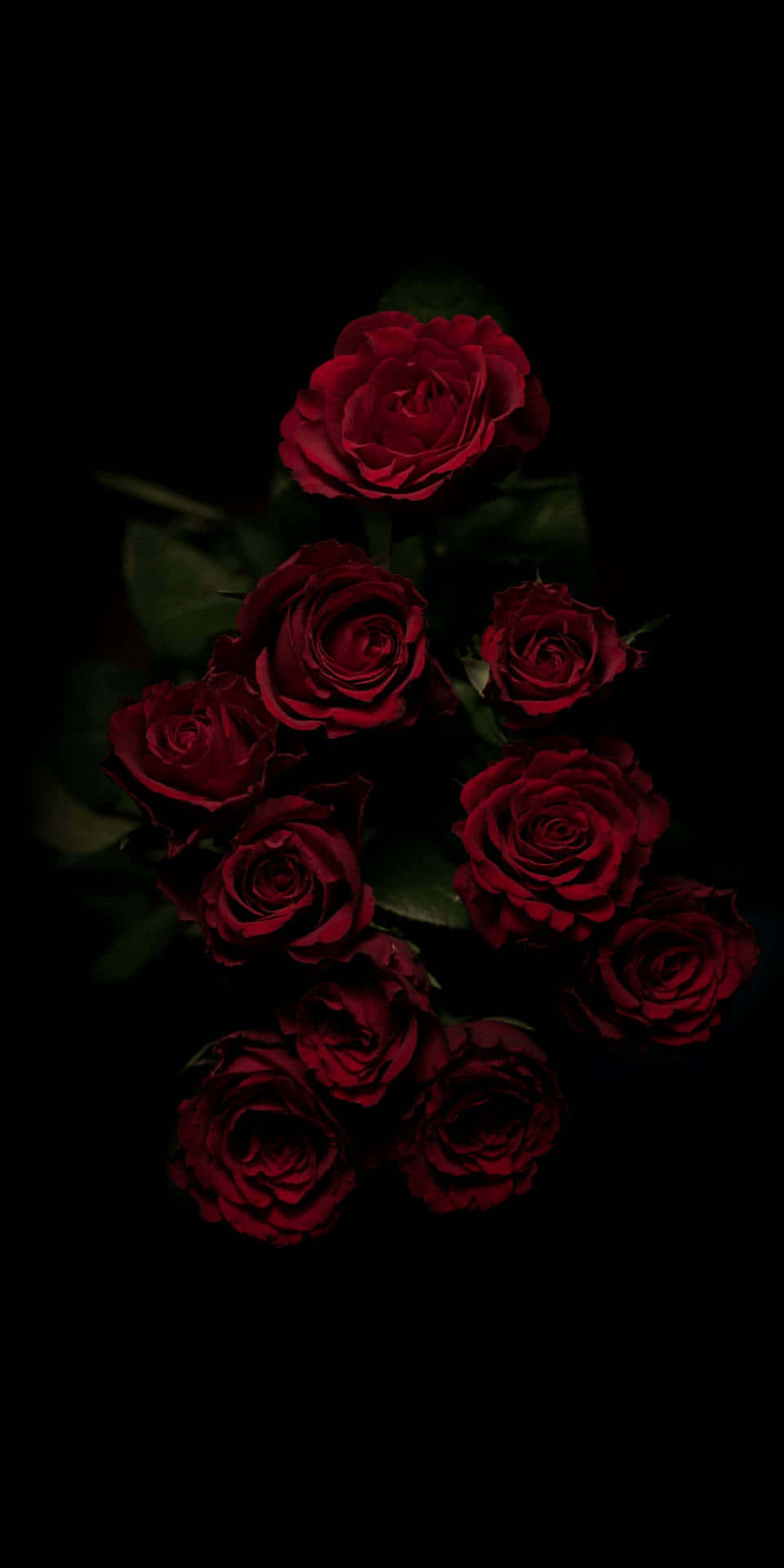 วอลเปเปอร์ดอกไม้สีเข้มสุดหลอน วอลเปเปอร์
