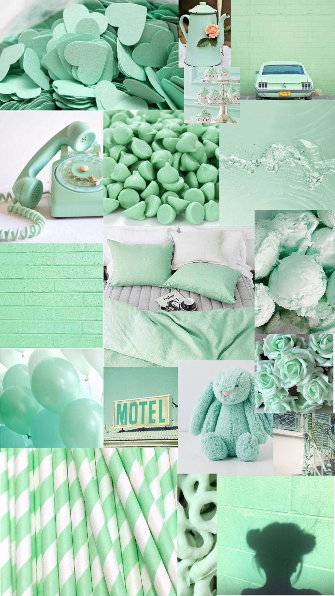 วอลเปเปอร์สีเขียวอ่อนสวยงาม วอลเปเปอร์