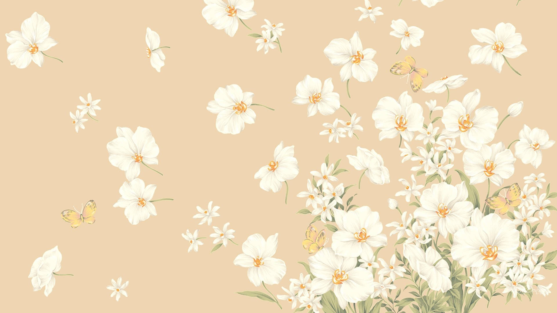 วอลเปเปอร์โน๊ตบุ๊คสไตล์สวยงามสีเบจลายดอกไม้ — ดอกไม้ วอลเปเปอร์