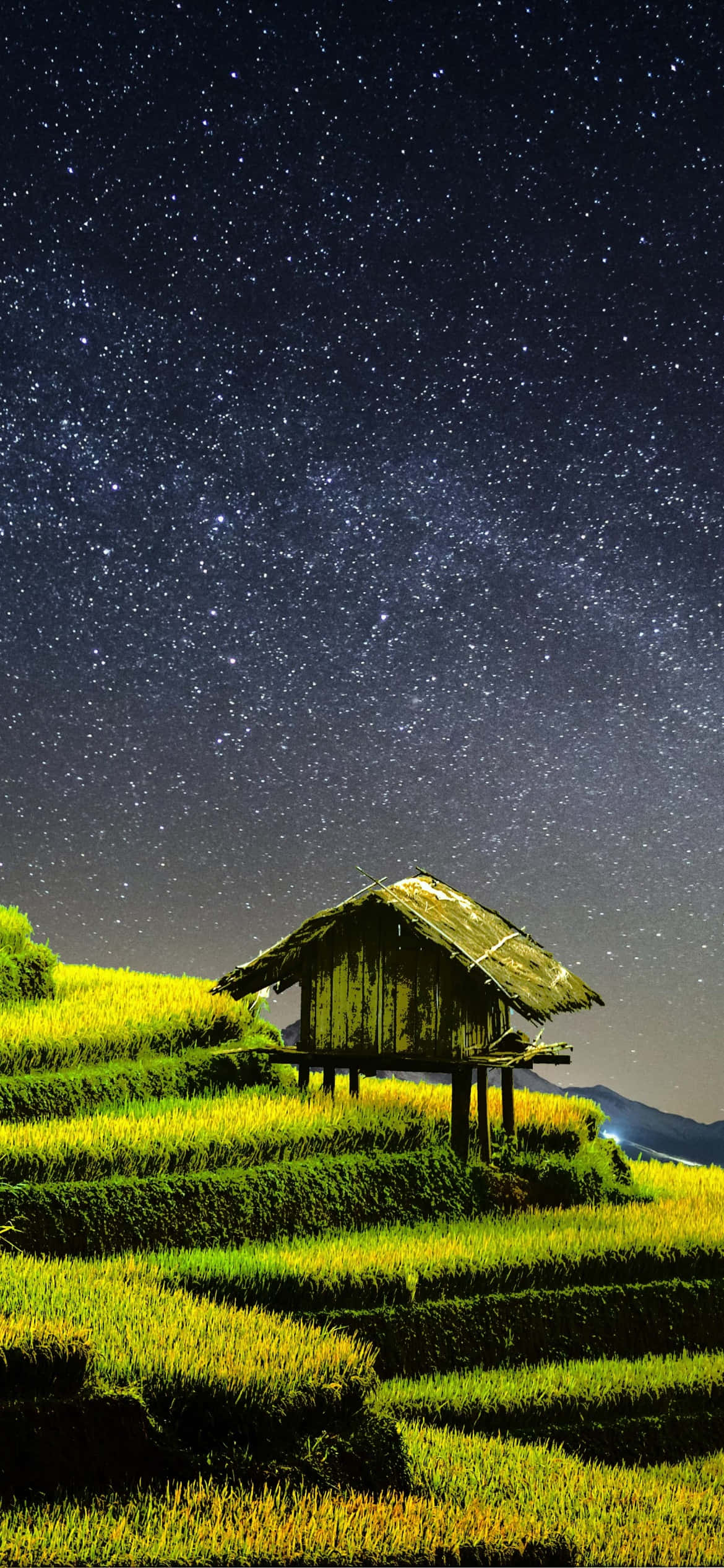 วันทำงานหนักในทุ่งนา วอลเปเปอร์