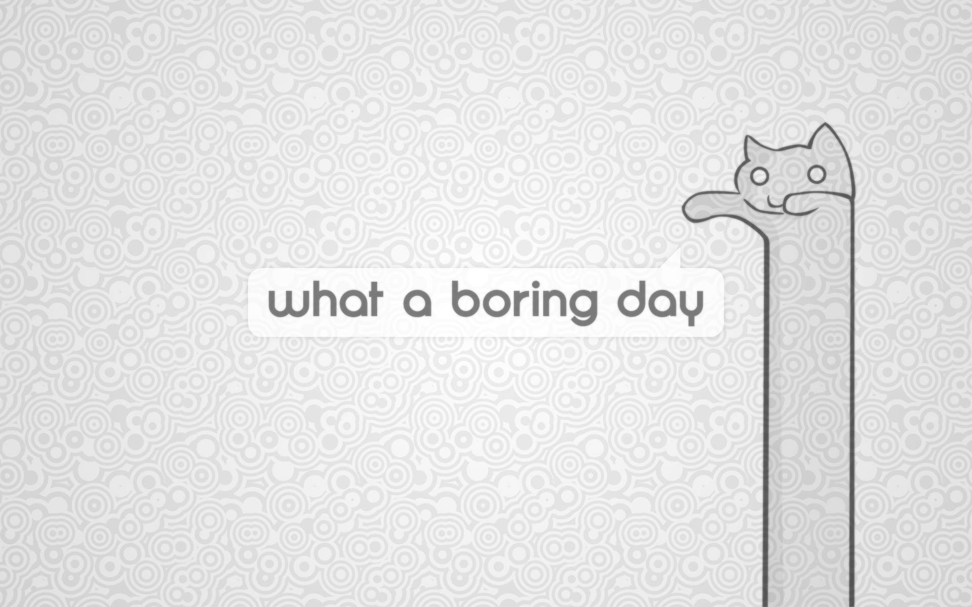 ศิลปะการ์ตูนแมว Boring Day วอลเปเปอร์