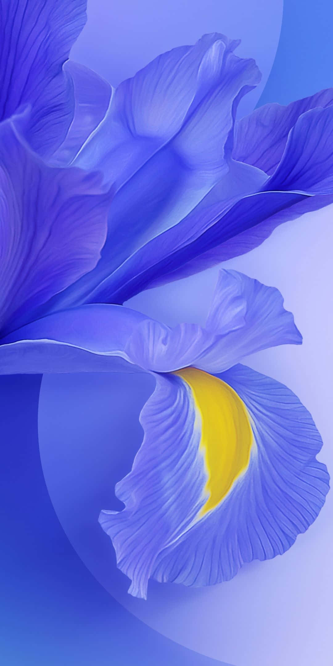 สมาร์ทโฟน Xiaomi ดีไซน์เรียบหรูพร้อมพื้นหลังแบบเกรเดียนต์ วอลเปเปอร์