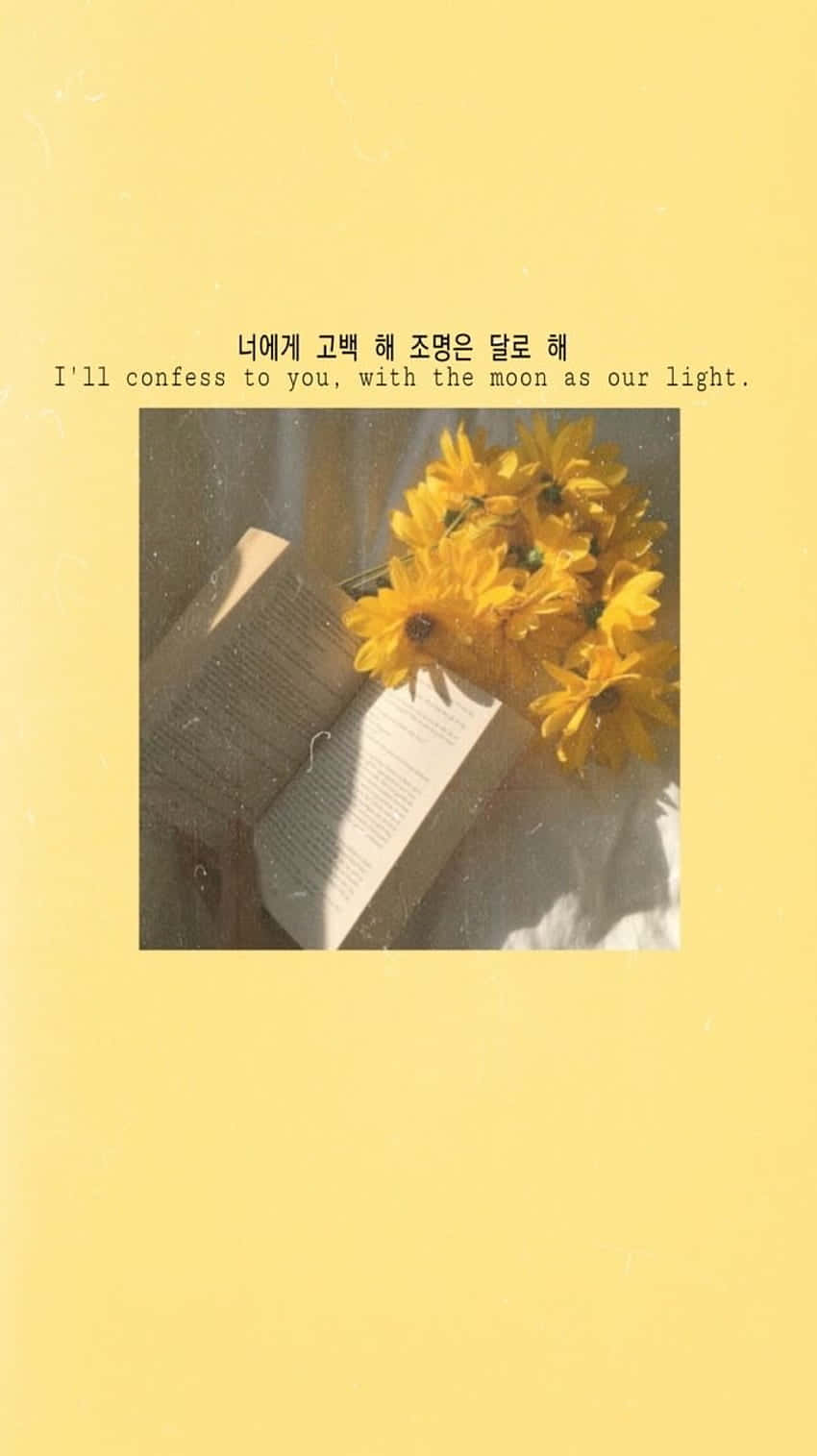 สมุดและดอกทานตะวันสีเหลืองพาสเทลน่ารัก วอลเปเปอร์