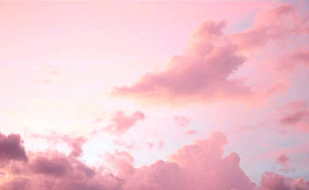 สัมผัสความงามสไตล์พาสเทลของภาพซอฟต์โทนสีชมพูอ่อน วอลเปเปอร์