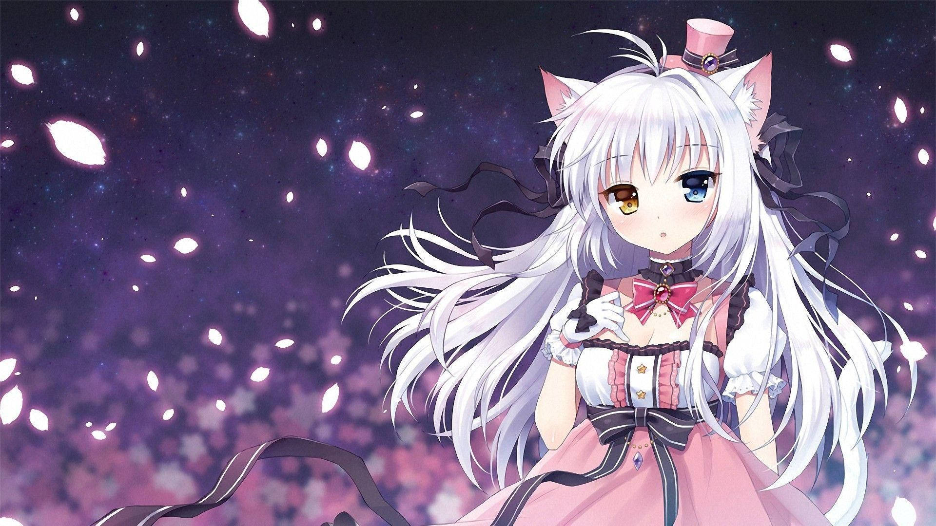 สาวชุดสีชมพูผมขาวคาดโบว์สีชมพู วอลเปเปอร์