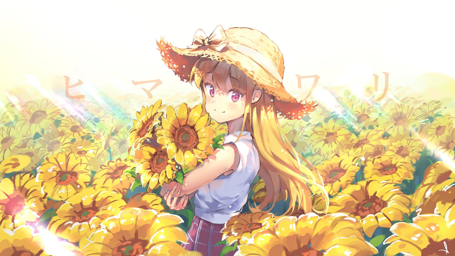 สาวน้อยอนิเมะน่ารักในสวนดอกทานตะวัน วอลเปเปอร์