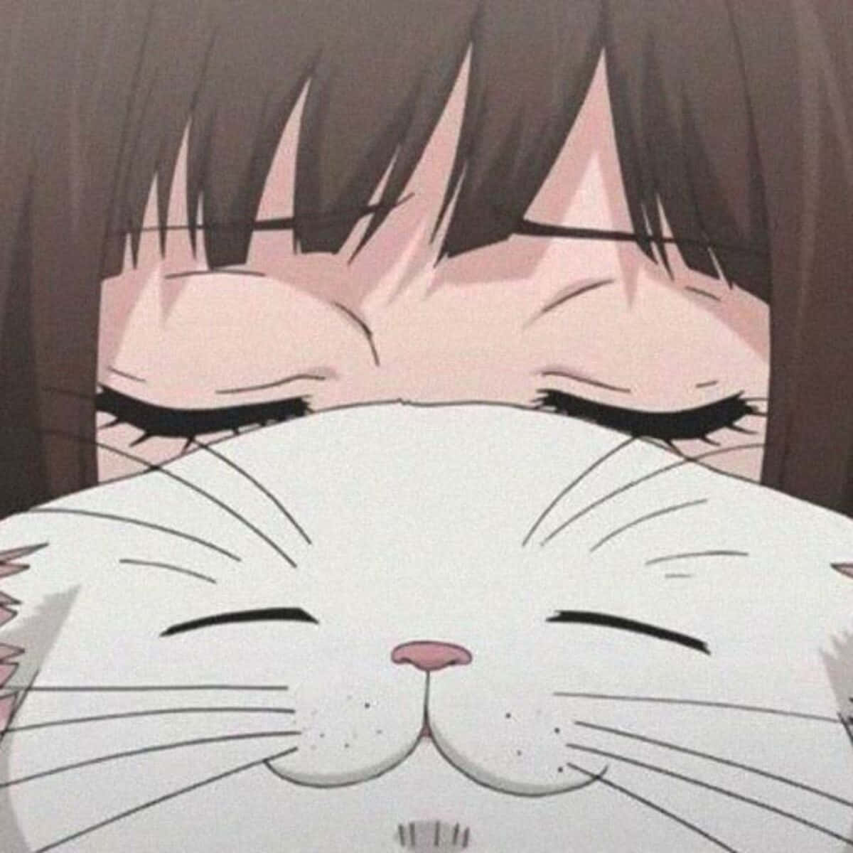 สาวอนิเมะกับแมว วอลเปเปอร์