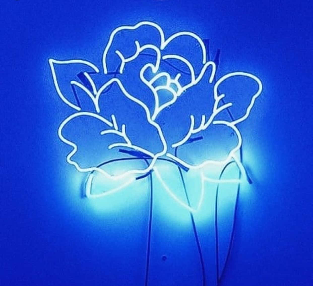สำรวจความงามเหนือจริงของสุนทรียภาพนีออนสีฟ้า วอลเปเปอร์