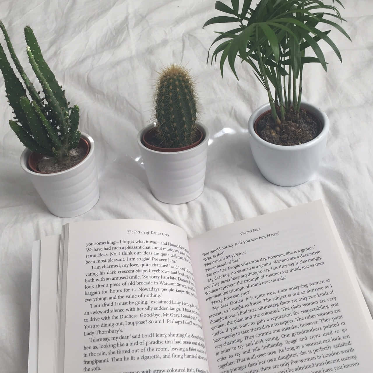 สำรวจโลกของหนังสือ! 📖 วอลเปเปอร์