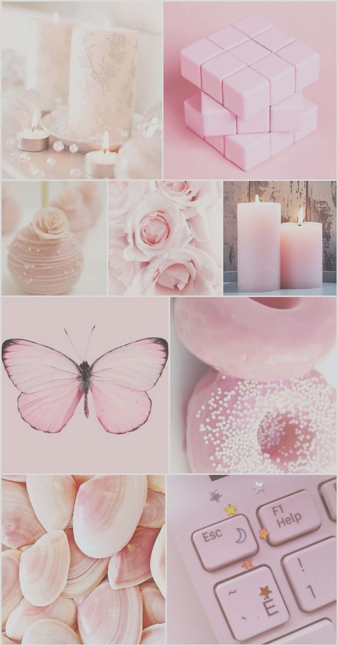 สีชมพู วอลเปเปอร์