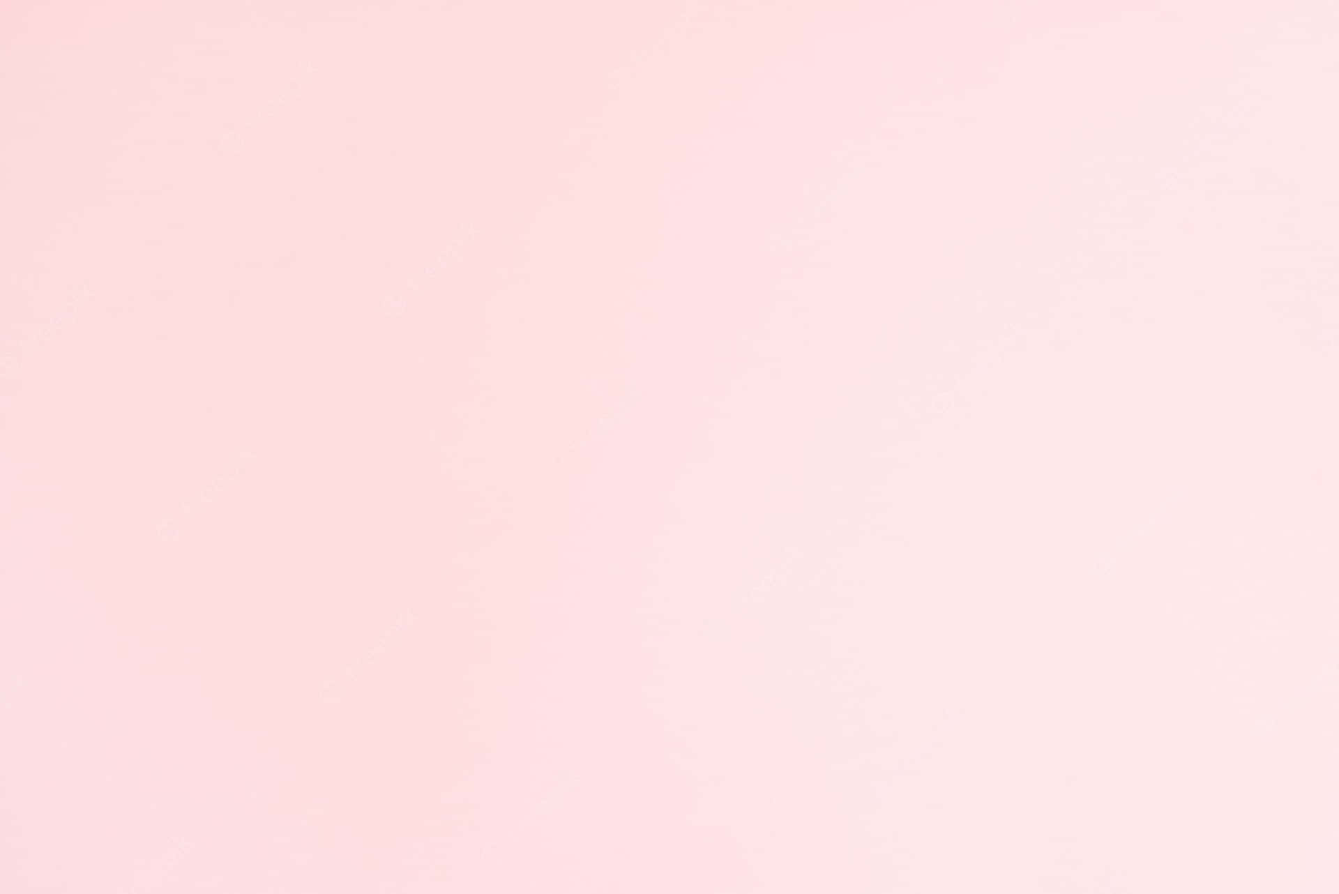สีชมพูเรียบ — สีชมพู วอลเปเปอร์