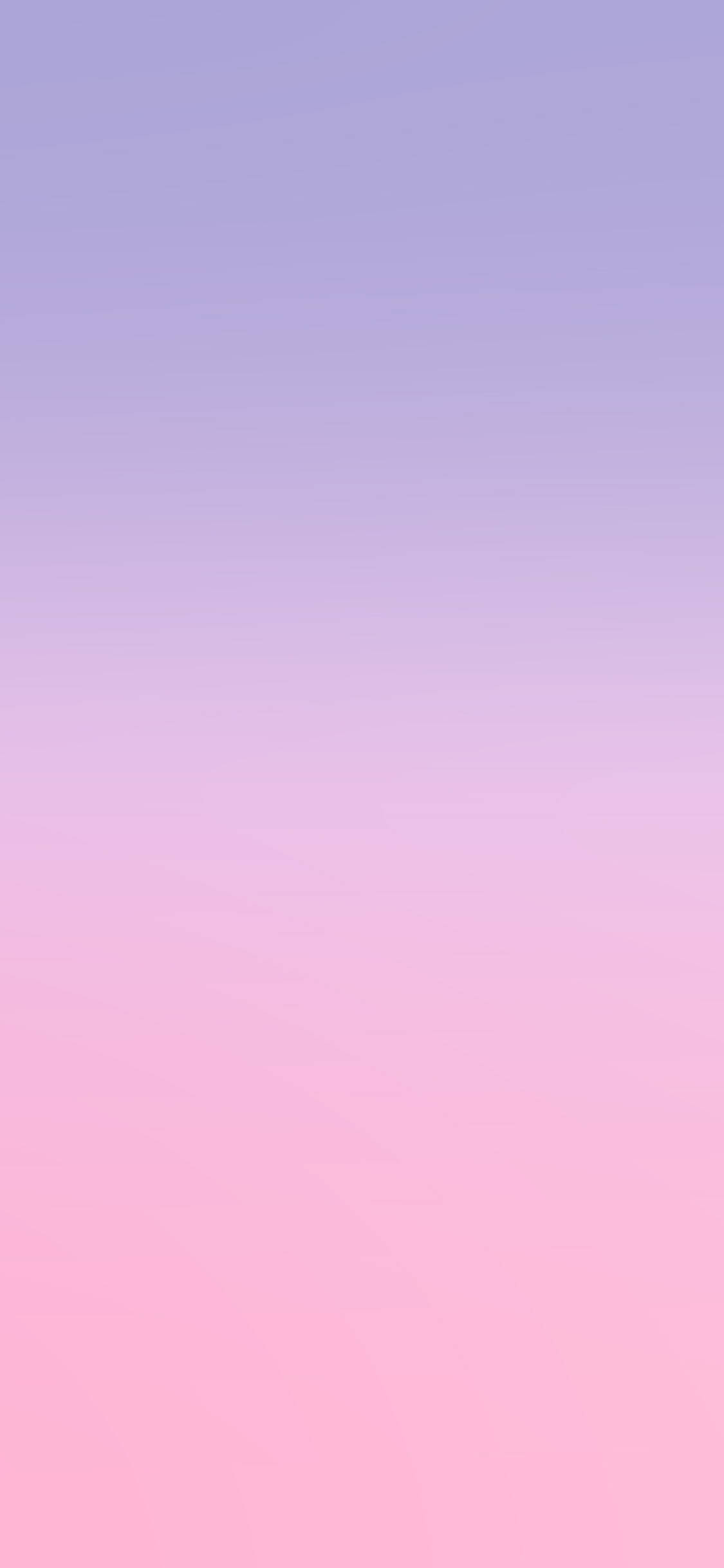 สีม่วงอ่อนสวยงามไล่โทนสีชมพู วอลเปเปอร์