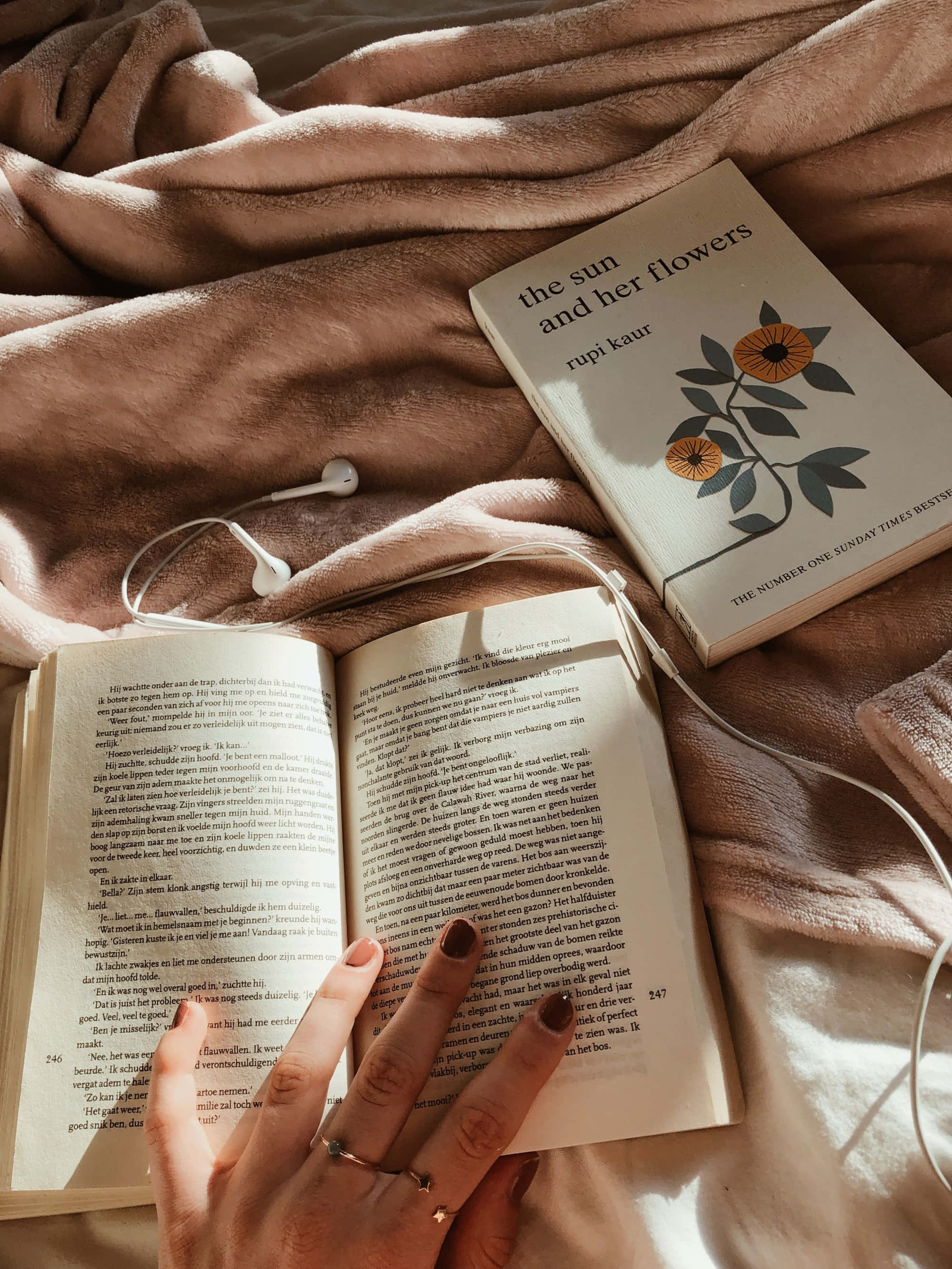 หนังสือศิลปะที่สวยงามวิจิตรบรรจง วอลเปเปอร์