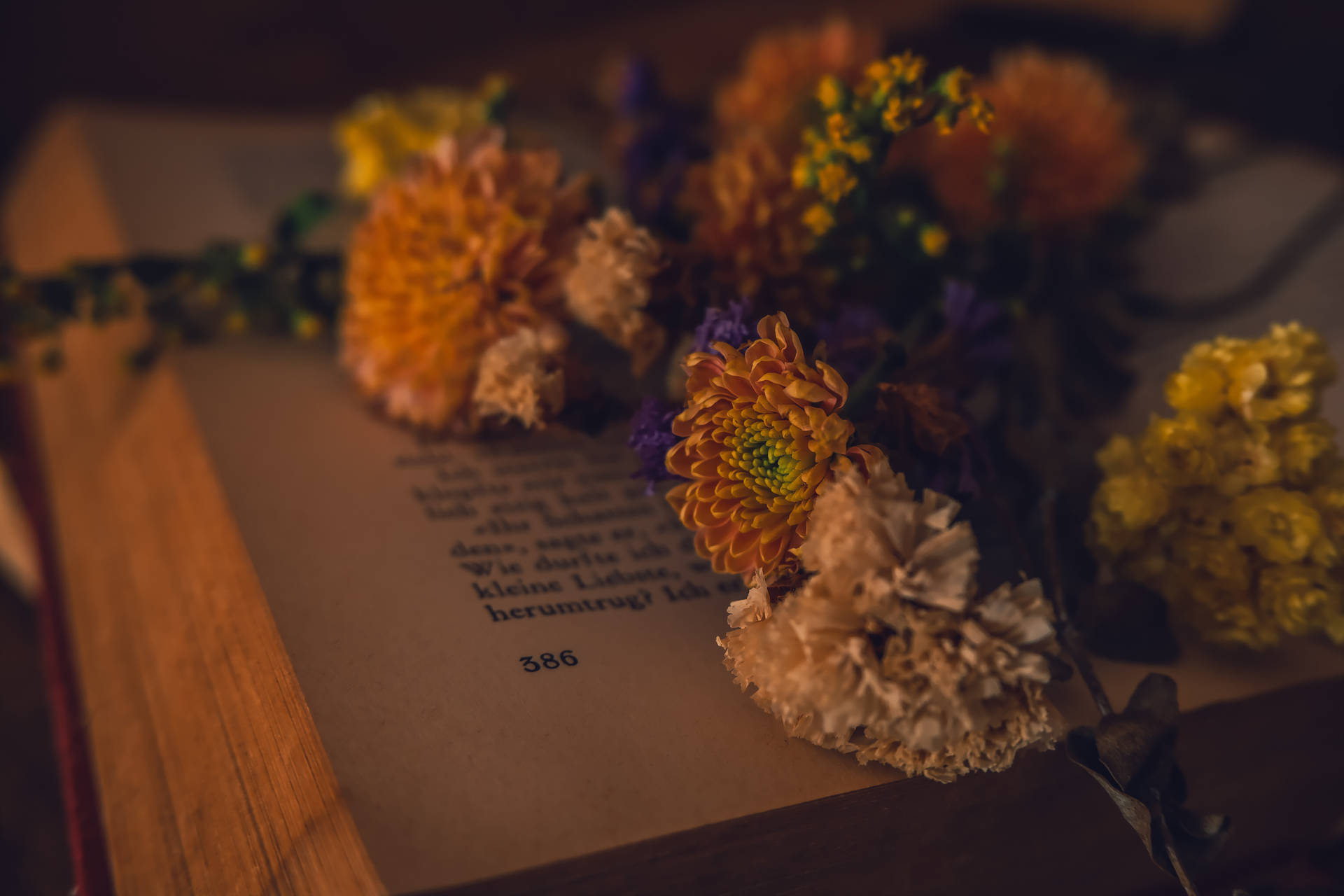 หนังสือเปิดกับดอกไม้ สไตล์ดาร์กอะคาเดเมีย สำหรับเดสก์ท็อป — ดาร์ก อคาเดเมีย วอลเปเปอร์