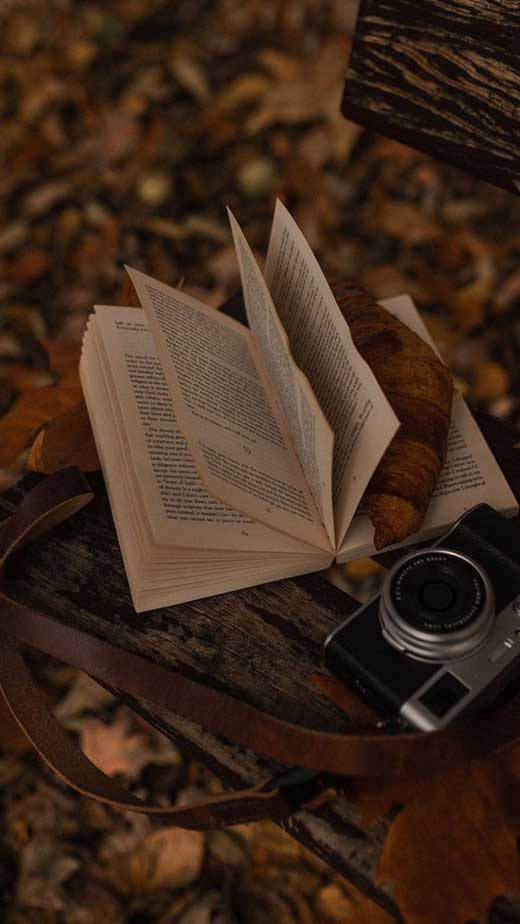 หนังสือและกล้องถ่ายรูปสไตล์เอสเธติกสีน้ำตาลเข้ม — สีน้ำตาลสวยงาม วอลเปเปอร์