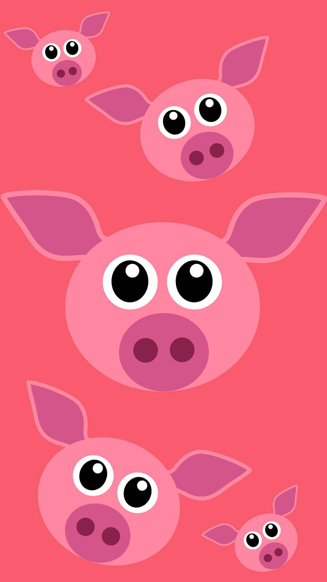 หน้าหมูน่ารัก วอลเปเปอร์