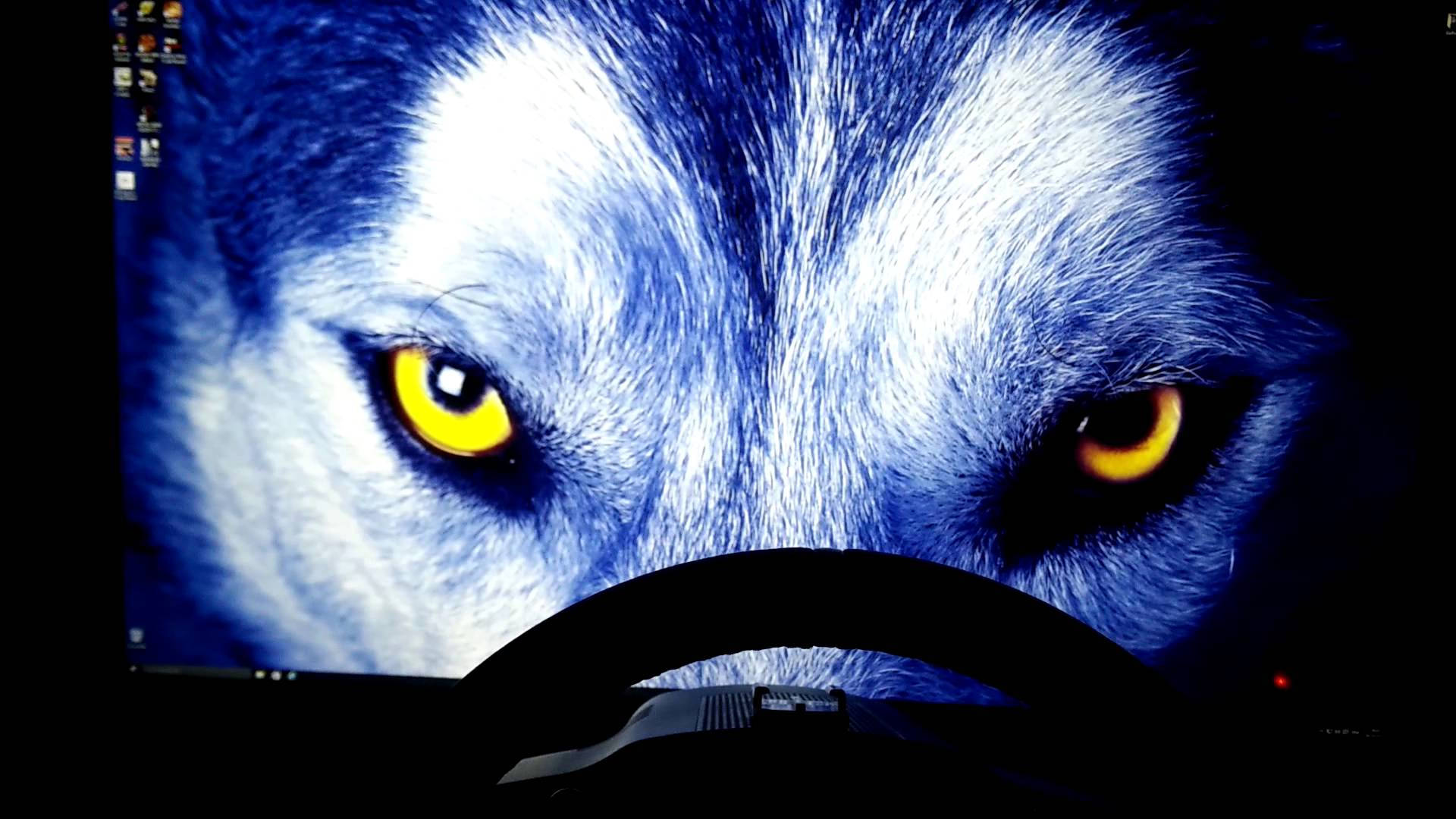 ดวงตาคมสีเหลืองและขนสีฟ้าของหมาป่า ภาพระยะใกล้ พื้นหลังคอมพิวเตอร์ — หมาป่า วอลเปเปอร์