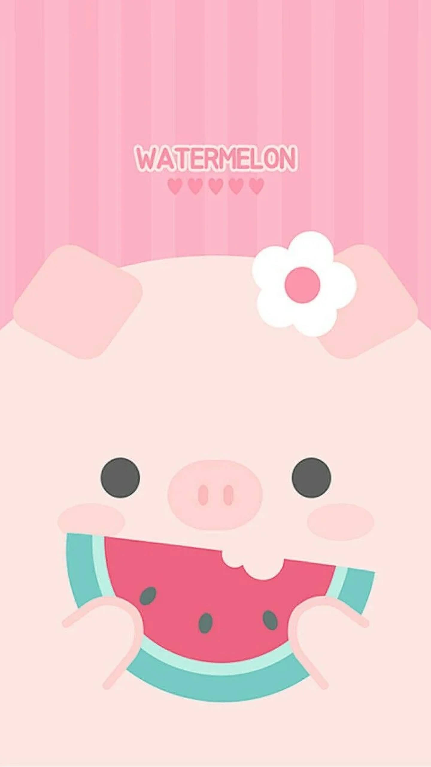หมูน่ารักกับแตงโม วอลเปเปอร์