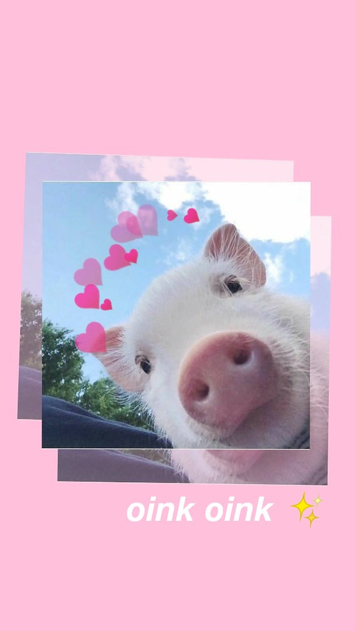 หมูน่ารักสไตล์อีสเทติก วอลเปเปอร์