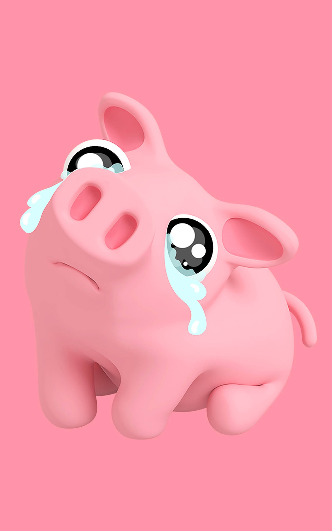 หมูน้อยน่าสงสารน่ารัก วอลเปเปอร์