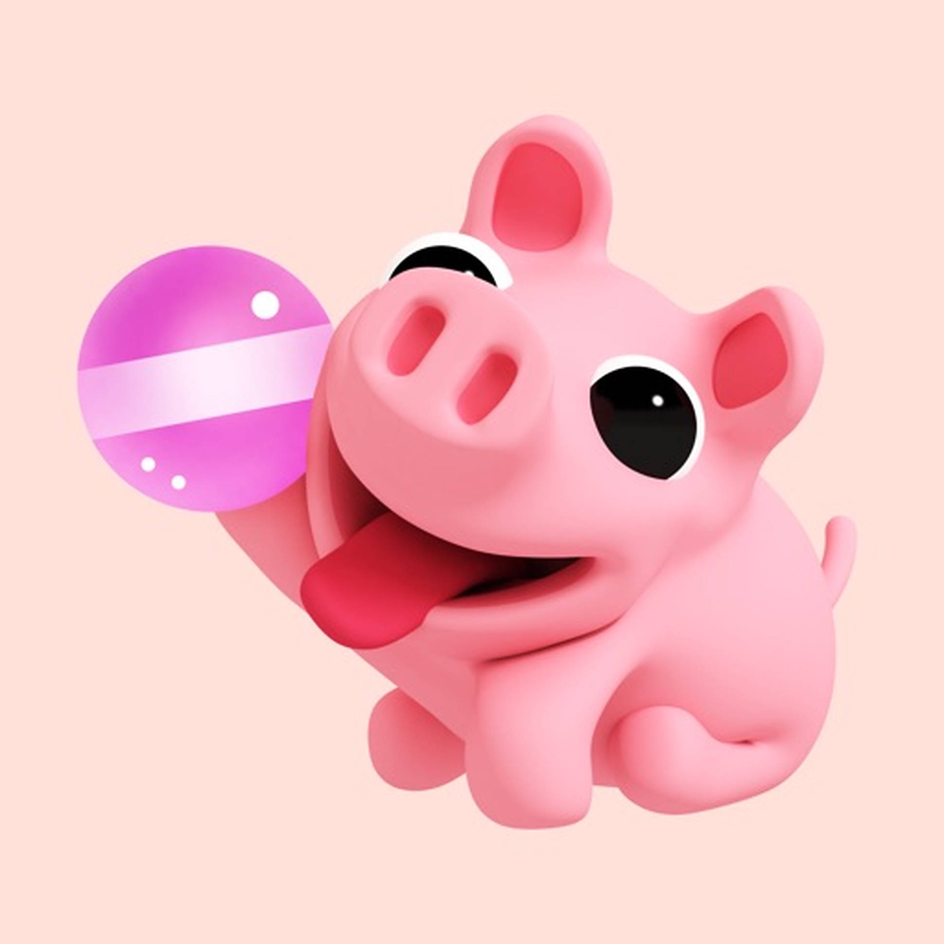 หมูโรซ่าน่ารัก วอลเปเปอร์