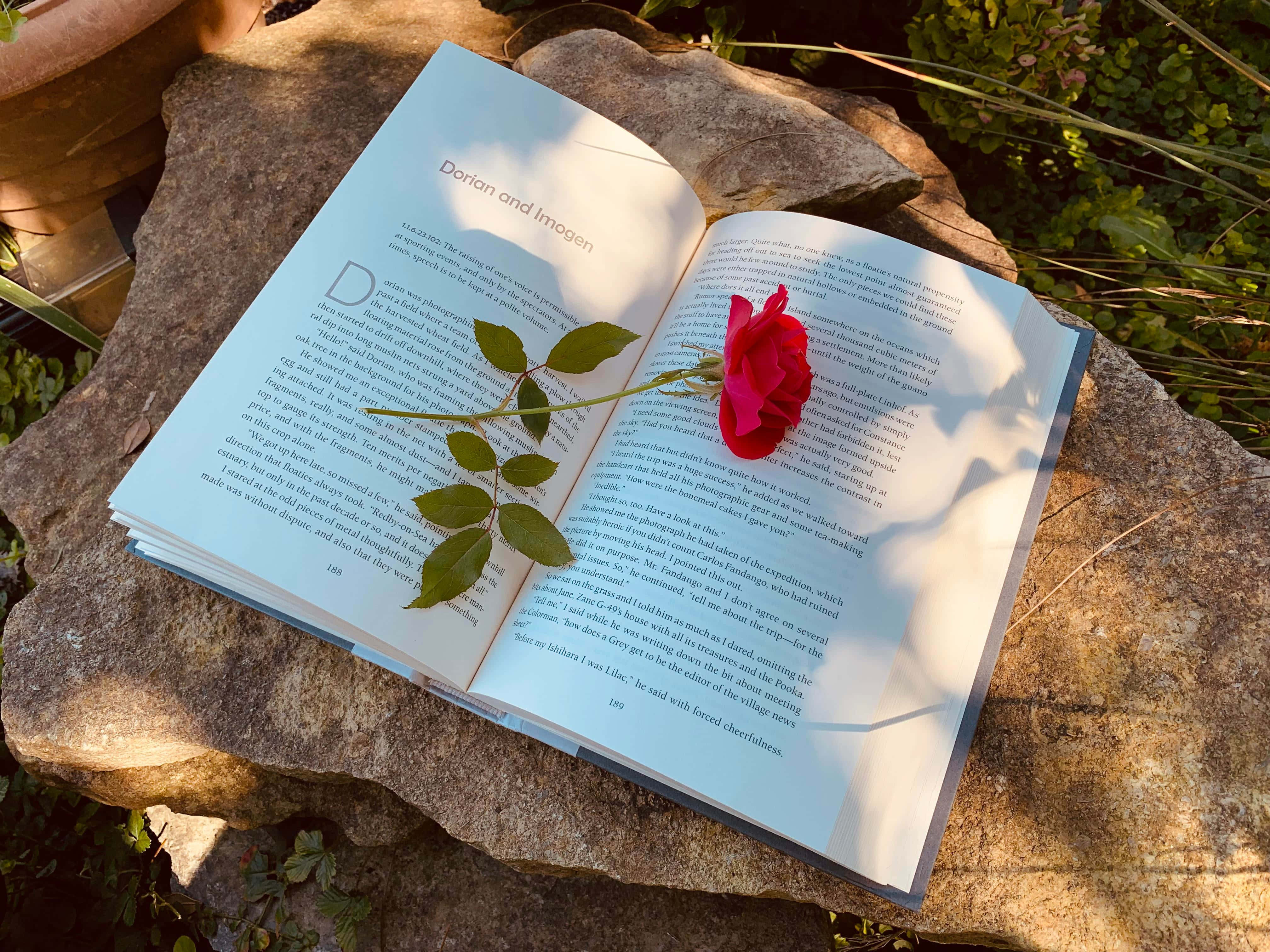 หลบหนีสู่โลกแห่งหนังสือ พร้อมความสนุกสนานและความผ่อนคลาย วอลเปเปอร์