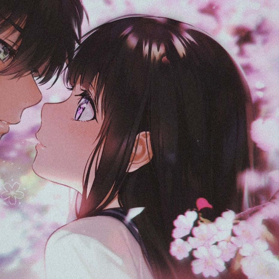 อนิเมะคู่หูสุดปังในฉากแอคชั่น วอลเปเปอร์