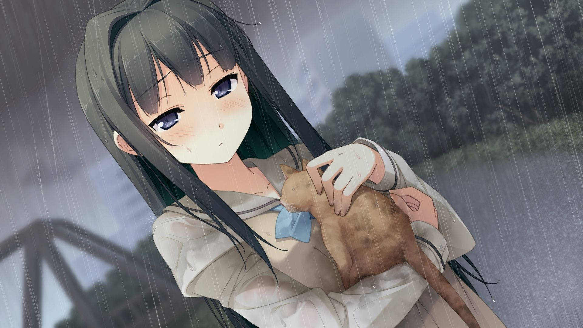 อนิเมะสาวกอดแมว Nightcore วอลเปเปอร์