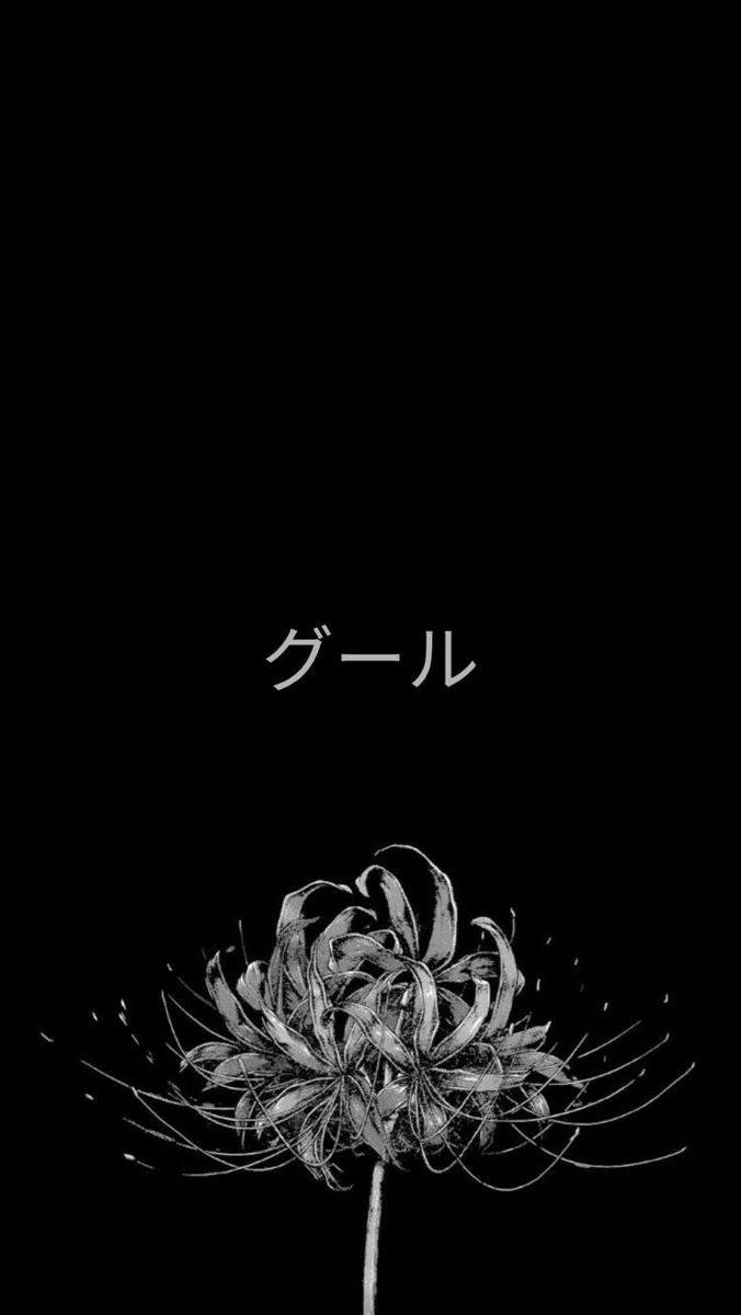 อนิเมะแนวสวยดำ Ghoul คาตาคานะ — แบล็ค เอสเธติก GIF วอลเปเปอร์