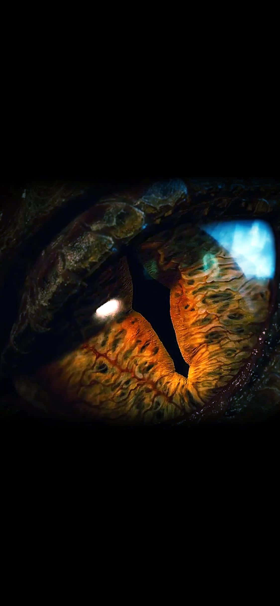 ยกระดับกับ iPhone Xs และ Dragon Age Inquisition วอลเปเปอร์