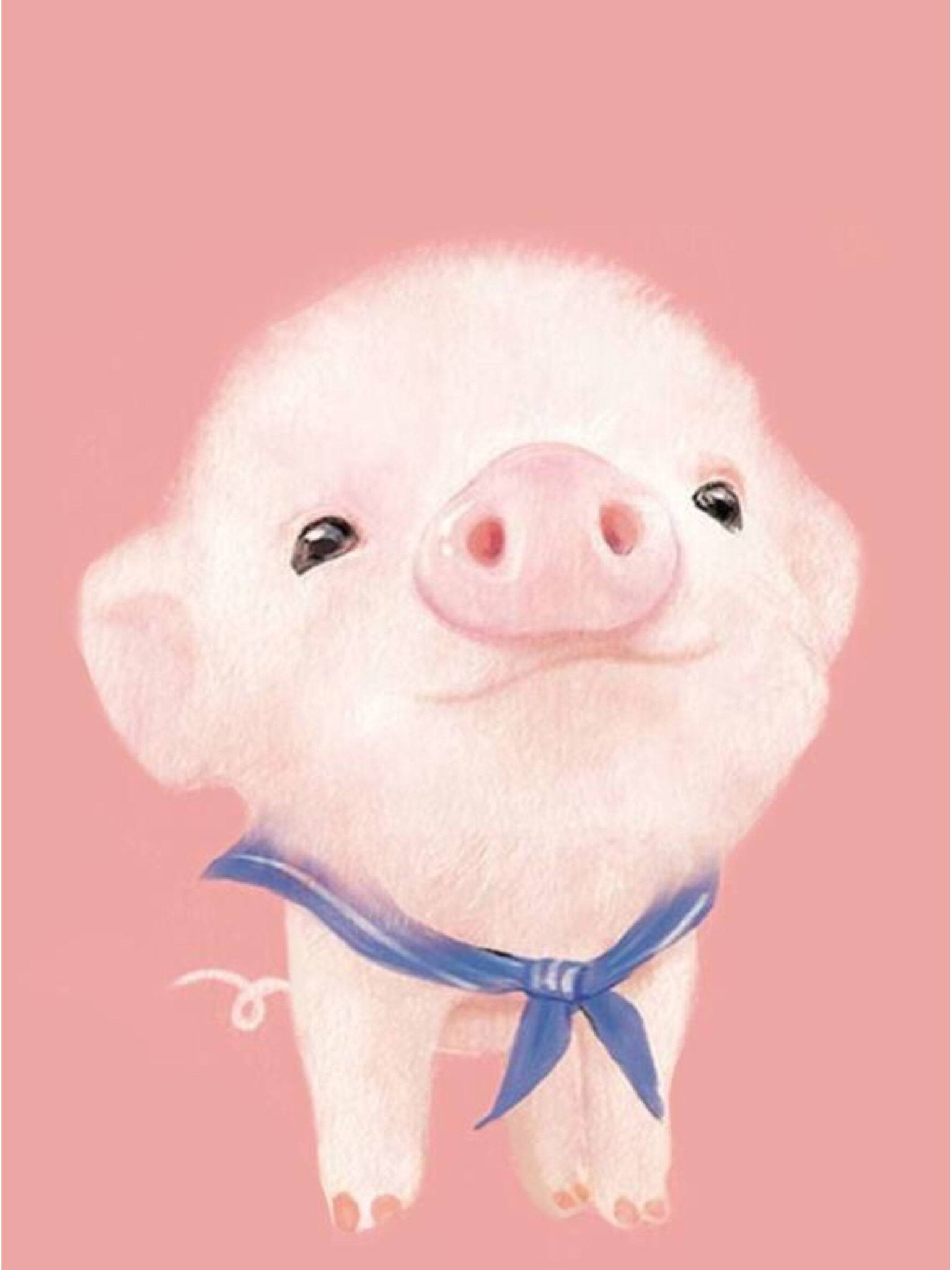 อาร์ตเวิร์คลูกหมูน่ารัก iPad วอลเปเปอร์