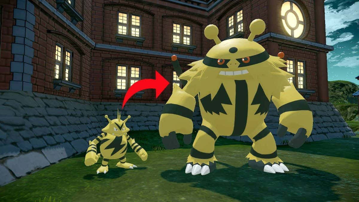 อิเล็กเทอเบิ้ลชาร์จพลังในการต่อสู้โปเกมอน วอลเปเปอร์