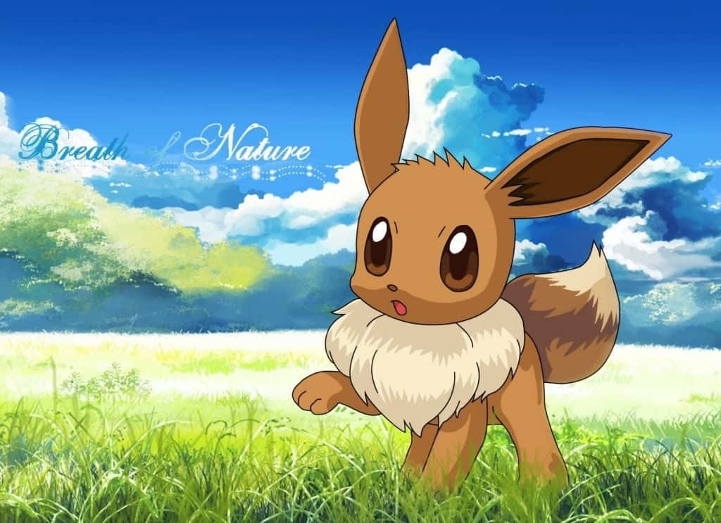 อีวีน่ารักบนทุ่งหญ้าโปเกมอน วอลเปเปอร์